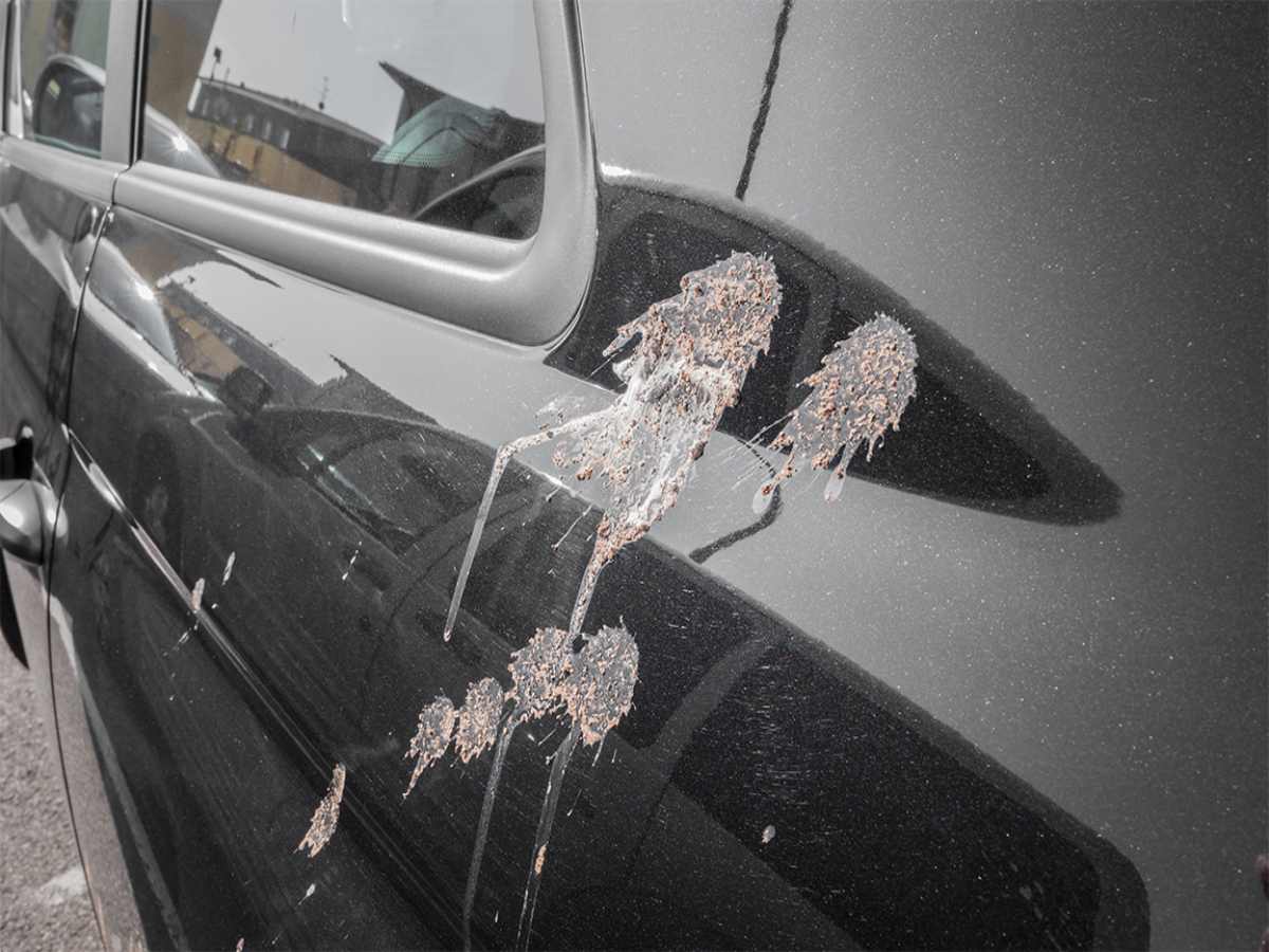 Understanding Why Car Paint Gets Damaged